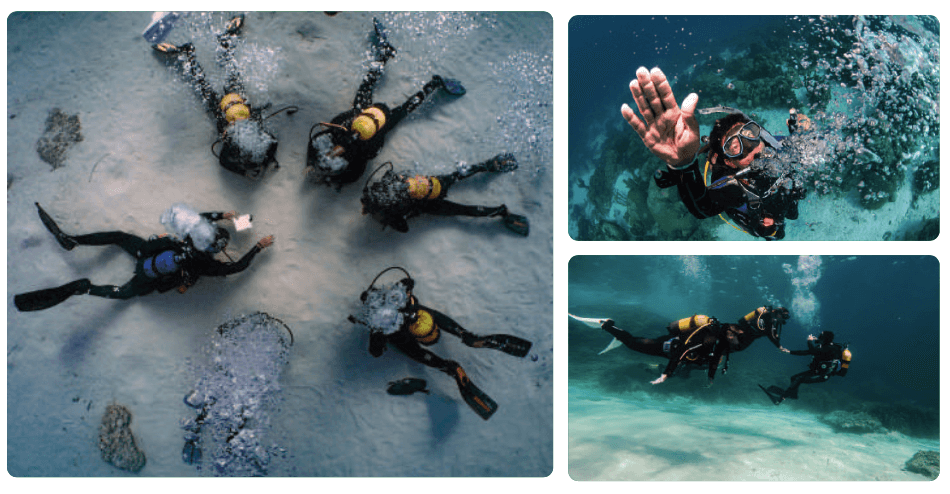 East Mallorca diving course
