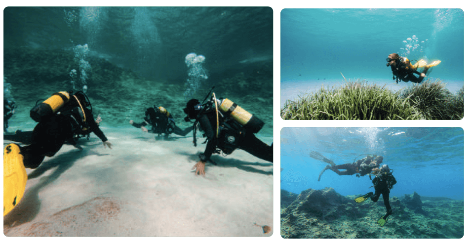 East Mallorca diving