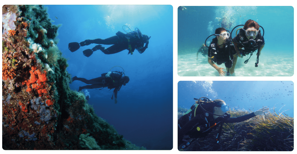 East Mallorca scuba diving