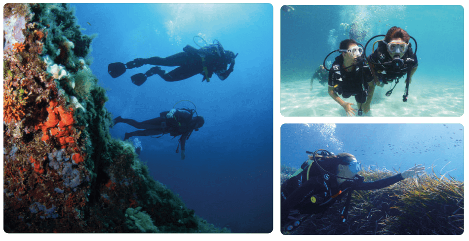 Diving Mallorca