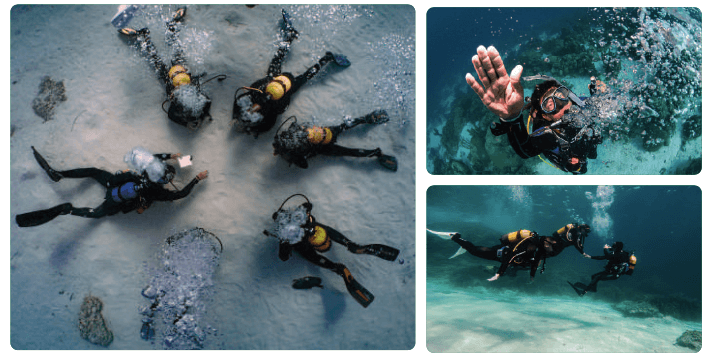 Single dive Mallorca