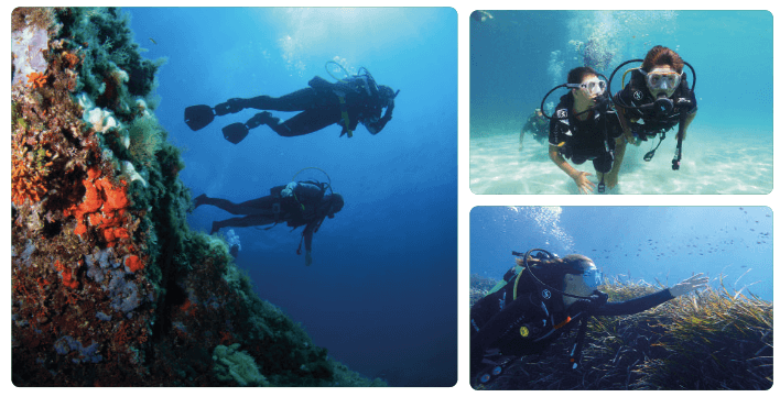 Mallorca scuba diving