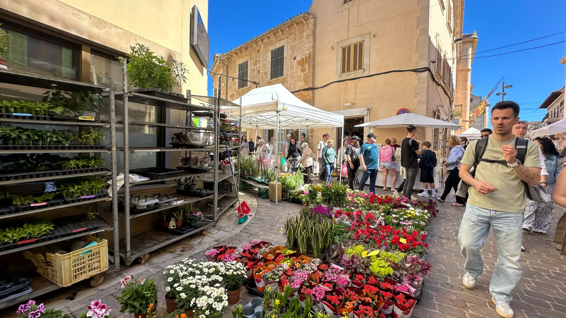 Santanyí market flowers